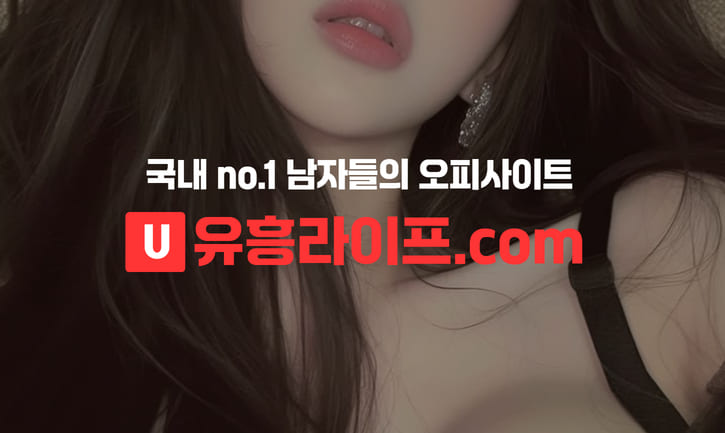 업체 정보 비교 팁